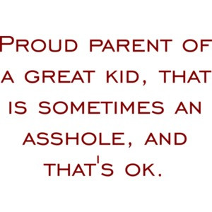 Proud parent of a great kid that is sometimes an asshole and that's ok - funny t-shirt