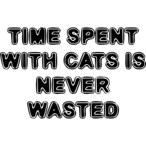 TIME SPENT WITH CATS IS NEVER WASTED Funny Shirt