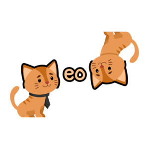 MEOW - cute cat t-shirt
