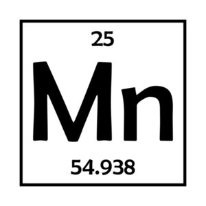 Mn Element - Minnesota T-Shirt