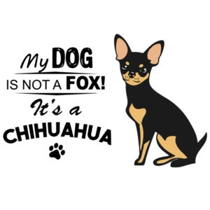My dog is not a fox! It's a chihuahua - chihuahua t-shirt
