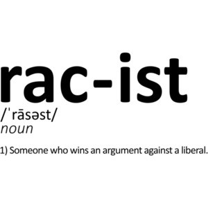 Racist, Someone That Wins An Argument Against a Liberal Funny Conservative T-Shirt