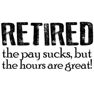 Retired - the pay sucks but the hours are great! Retirement t-shirt