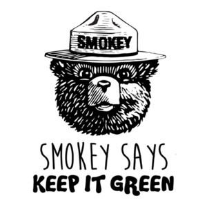 Smokey says keep it green - smokey the bear t-shirt