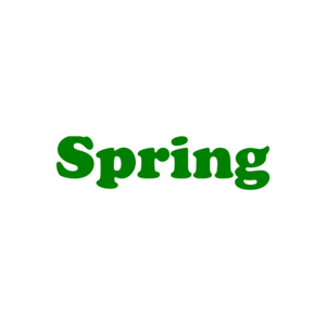 Spring - Maternity Shirt