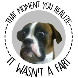 That moment you realize it wasn't a fart - funny dog t-shirt