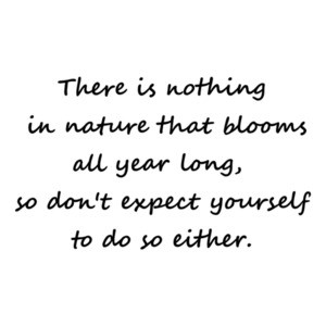 There is nothing in nature that blooms all year long, so don't expect yourself to do so either. Inspirational T-Shirt