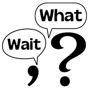 Wait, What? Funny Pun T-Shirt