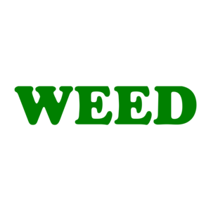 WEED Shirt