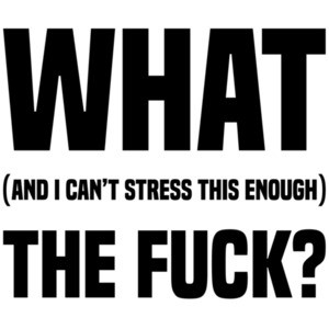 What (and I can't stress this enough) the fuck? Funny T-Shirt