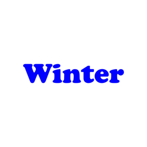 Winter - Maternity Shirt