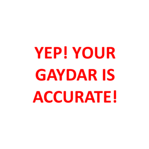 YEP! YOUR GAYDAR IS ACCURATE! Shirt