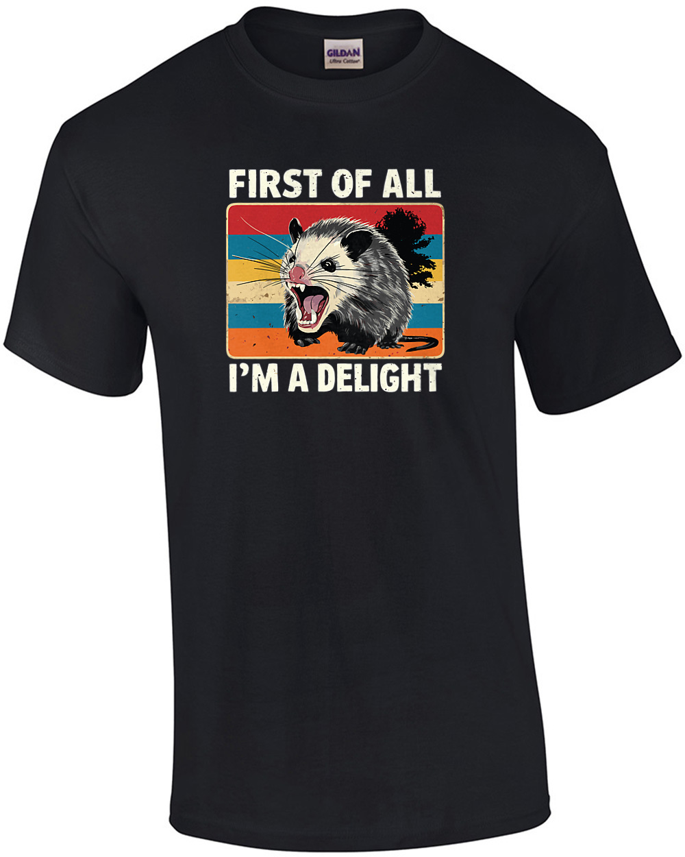 First Of All I'm A Delight, Funny Sarcasm Shirt, Sarcastic Angry Opossum, Cute Sarcastic, Funny Ladies Shirt 