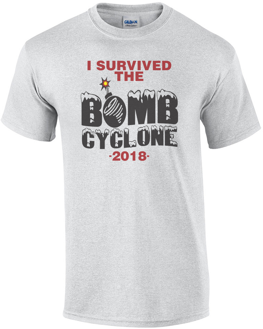 I Survived The Bomb Cyclone 2018 Funny Shirt